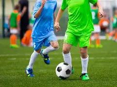 布莱顿女足,引进浦和红,岁中场球员,半岛体育平台,半岛体育官方网站,半岛体育登录入口,半岛体育app下载