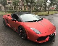 鲍威尔,热爱篮球驱,动康复,半岛体育平台,半岛体育官方网站,半岛体育登录入口,半岛体育app下载