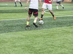 盈富基金净,吸金,亿港元,半岛体育平台,半岛体育官方网站,半岛体育登录入口,半岛体育app下载