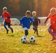 半岛体育,资讯,半岛体育平台,半岛体育平台,半岛体育官方网站,半岛体育登录入口,半岛体育app下载