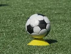 羅某母親确,诊新冠危重,入住,半岛体育平台,半岛体育官方网站,半岛体育登录入口,半岛体育app下载