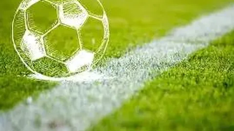 半岛体育 产品 093900 4y1