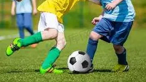 半岛体育 资讯 104555 p4g