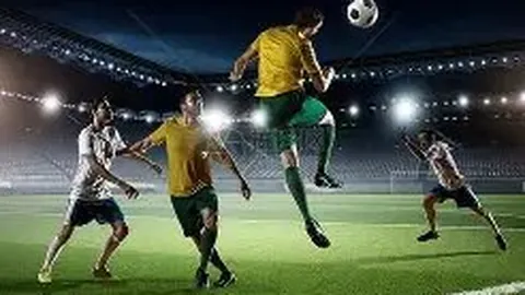 半岛体育 资讯 104615 qoa