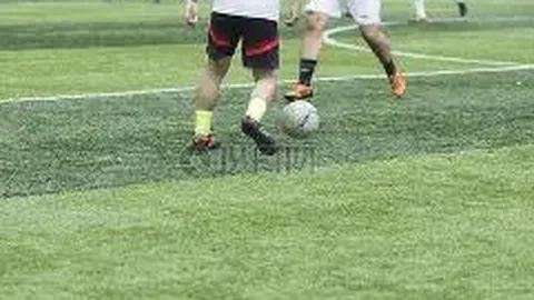 半岛体育 资讯 104630 lo2